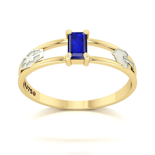 Anel de Formatura de Engenharia Ambiental Nexus Ouro 18k