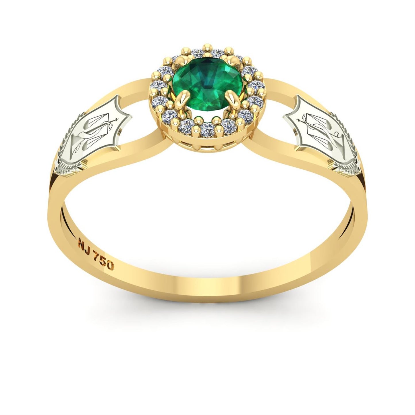 Anel de Formatura de Nutrição Shiny Ouro 18k