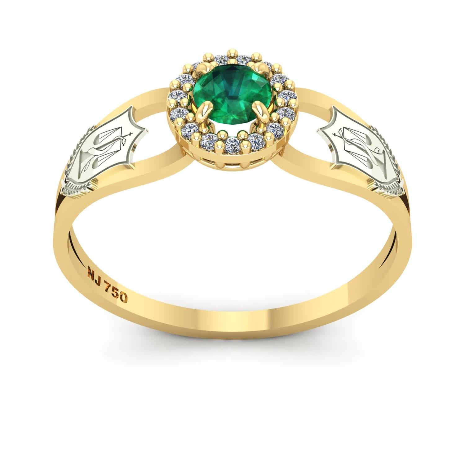 Anel de Formatura de Nutrição Shiny Ouro 18k