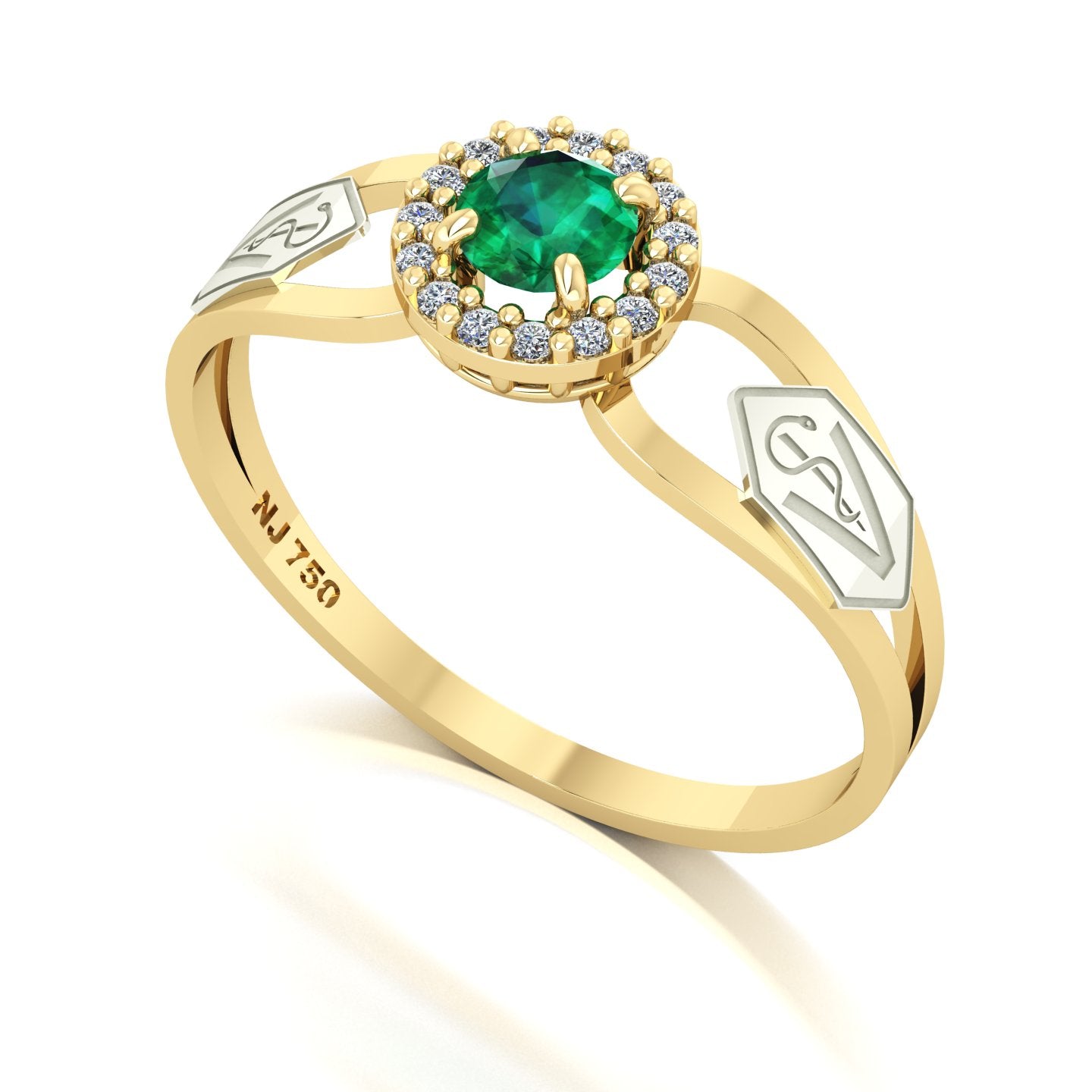 Anel de Formatura de Veterinária Shiny Ouro 18k