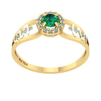 Anel de Formatura de Medicina Shiny Ouro 18k