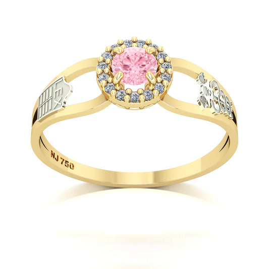 Anel de Formatura de Ciências Contábeis Shiny Ouro 18k