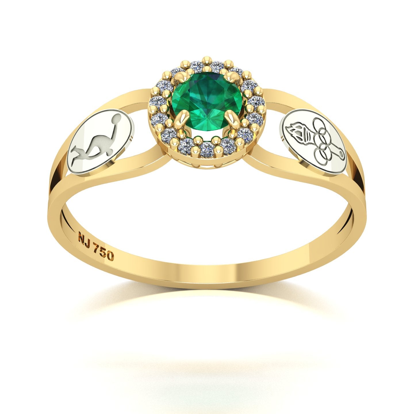 Anel de Formatura de Ed. Física Shiny Ouro 18k