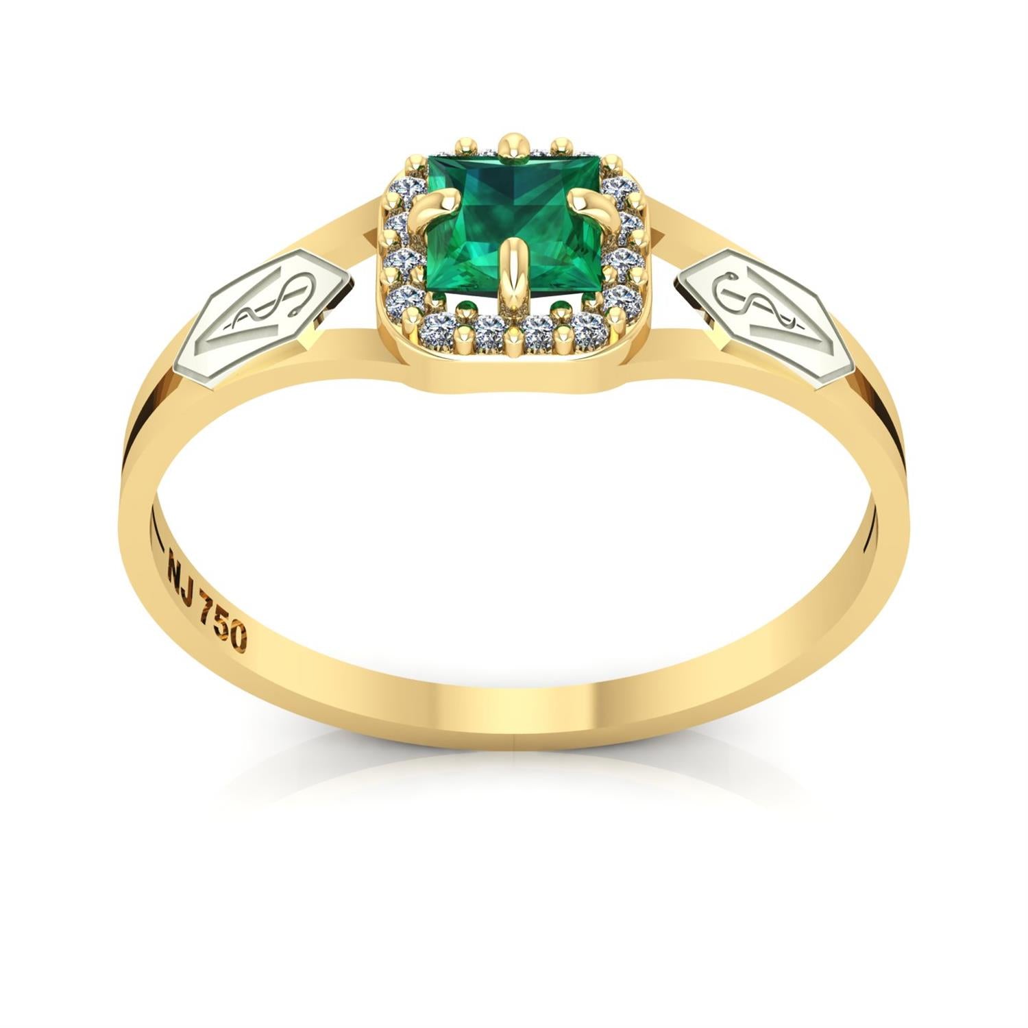 Anel de Formatura de Veterinária Small Square Ouro 18k