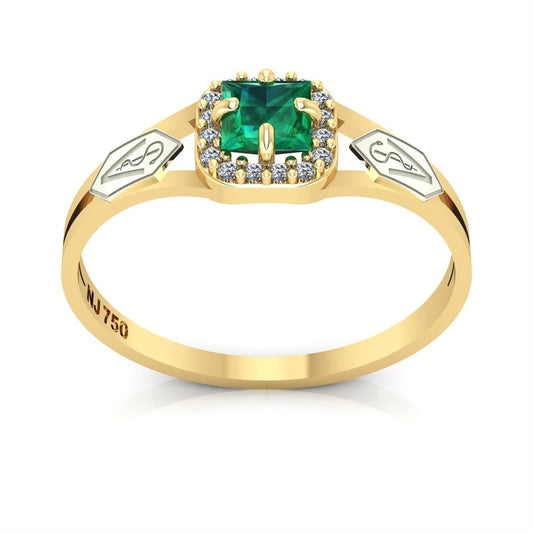 Anel de Formatura de Veterinária Small Square Ouro 18k