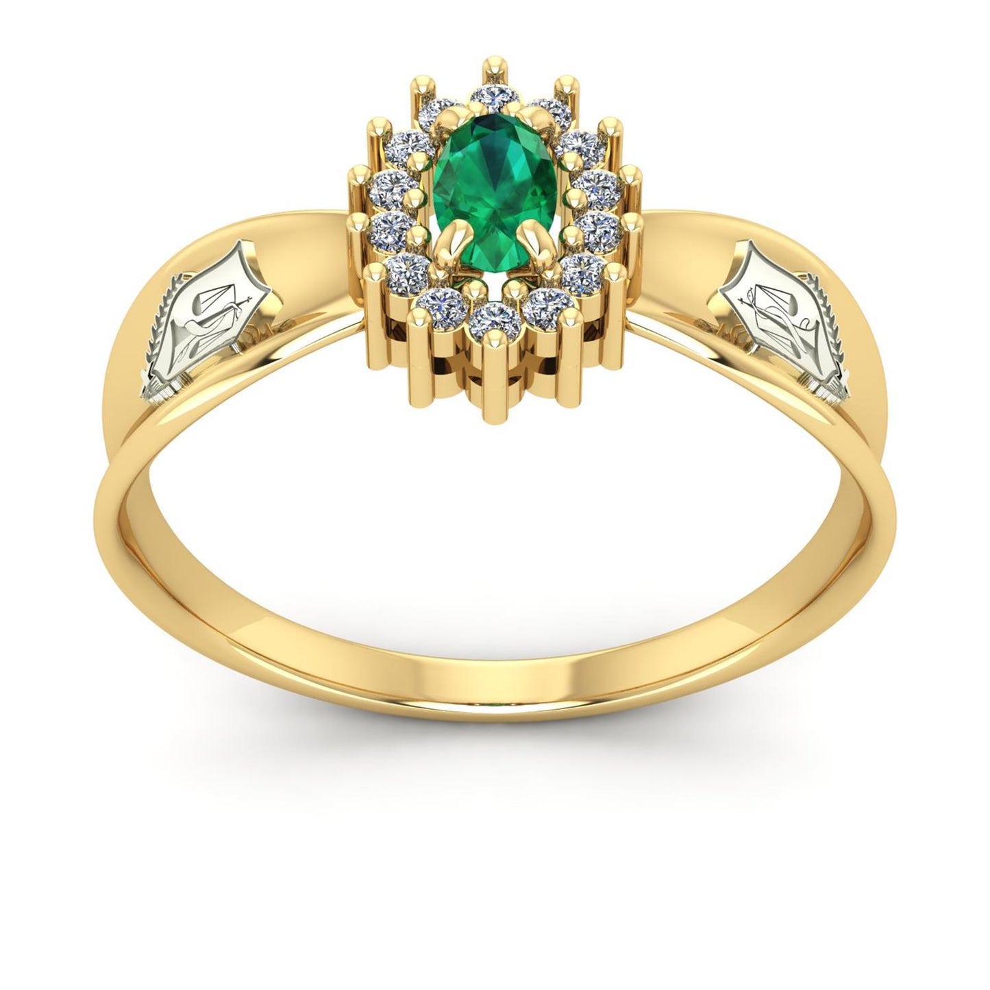 Anel de Formatura de Nutrição Sovereign Ouro 18k