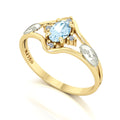 Anel de Formatura Biologia Star Ouro 18k