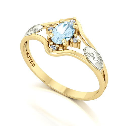 Anel de Formatura Biologia Star Ouro 18k
