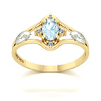 Anel de Formatura Biologia Star Ouro 18k