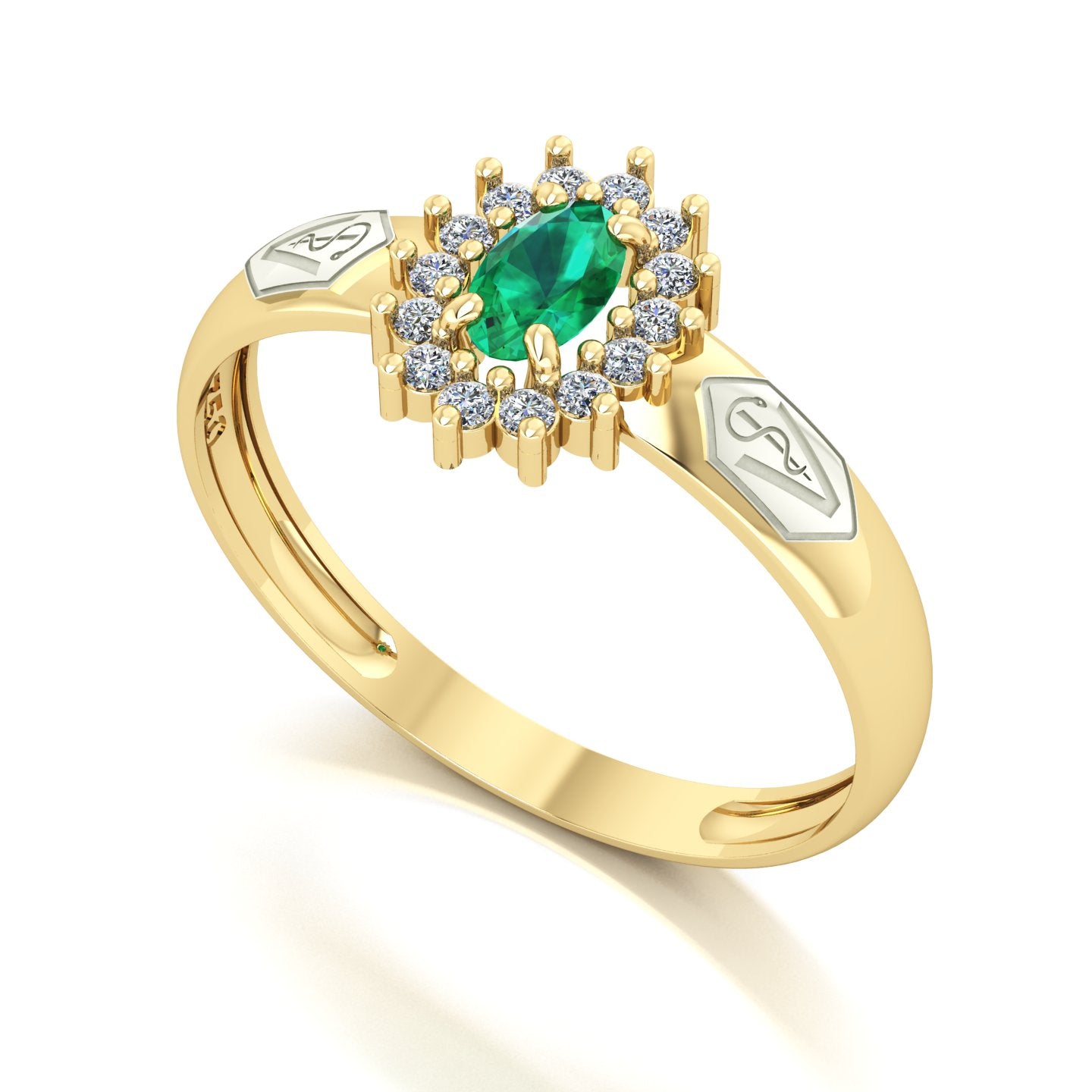 Anel de Formatura de Veterinária Evermore II Ouro 18k