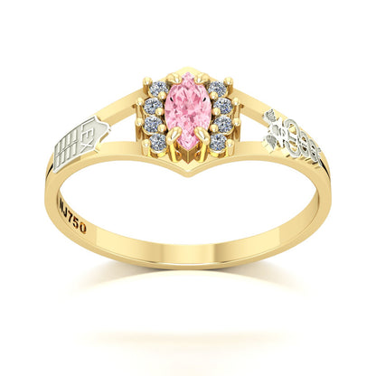 Anel de Formatura Ciências Contábeis Virtus Ouro 18k