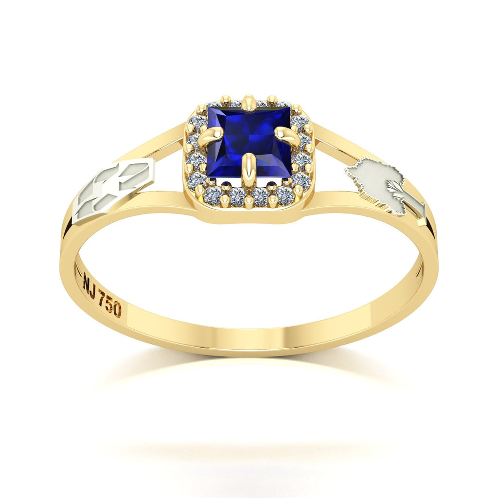 Anel de Formatura de Engenharia Ambiental Small Square Ouro 18k