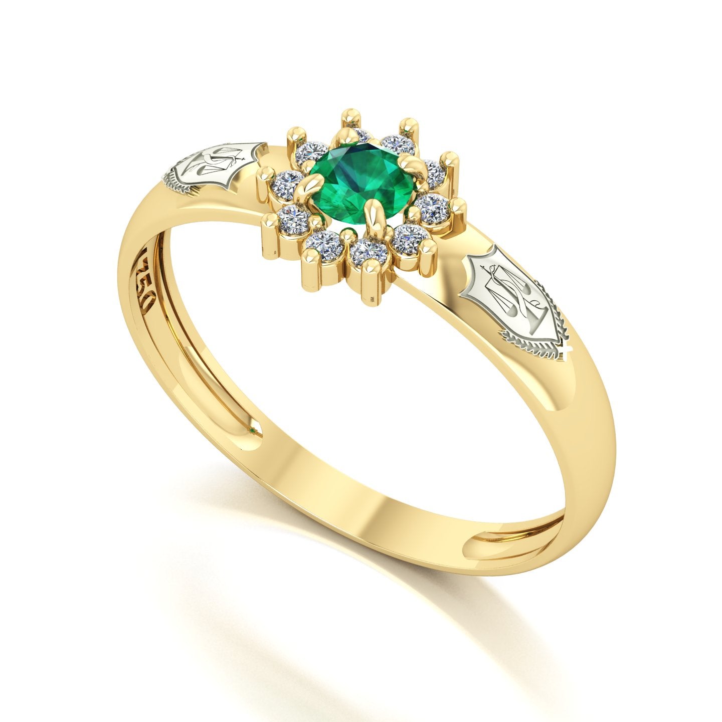 Anel de Formatura de Nutrição Evermore Ouro 18k