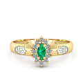 Anel de Formatura de Nutrição Evermore III Ouro 18k